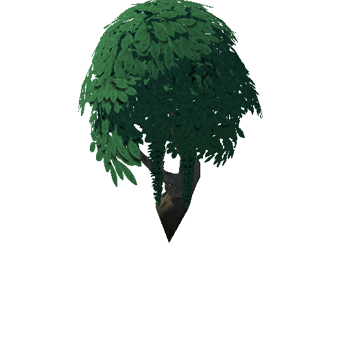 Tree_4d_3