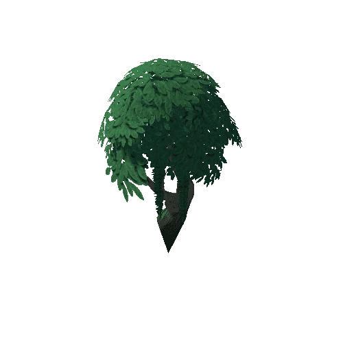 Tree_4d_3