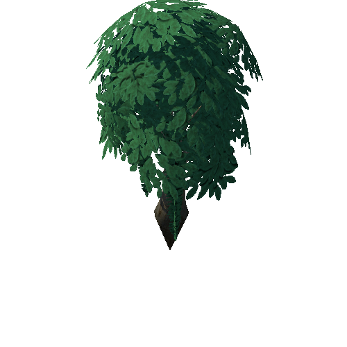 Tree_4d_5_1