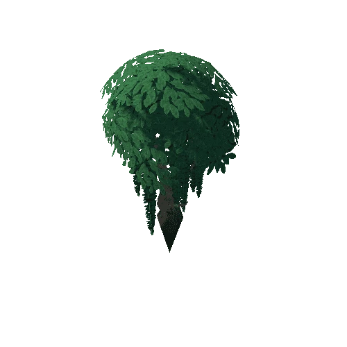 Tree_4d_6