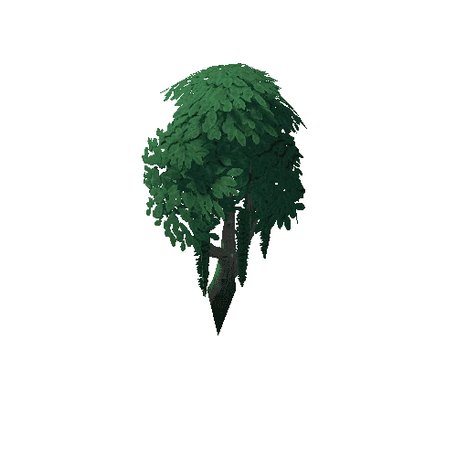 Tree_4d_7