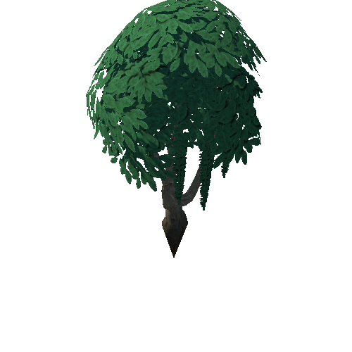 Tree_4d_8