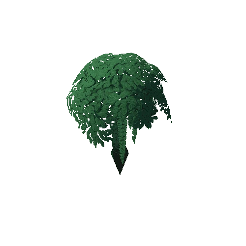 Tree_4d_Separated_0