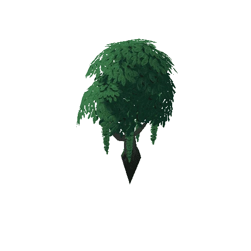 Tree_4d_Separated_1