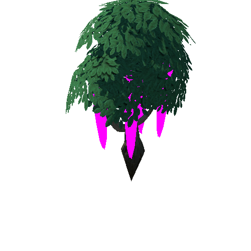 Tree_4d_Separated_1_1