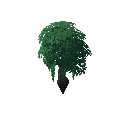 Tree_4d_Separated_2