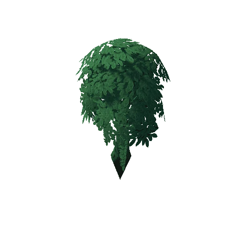 Tree_4d_Separated_5