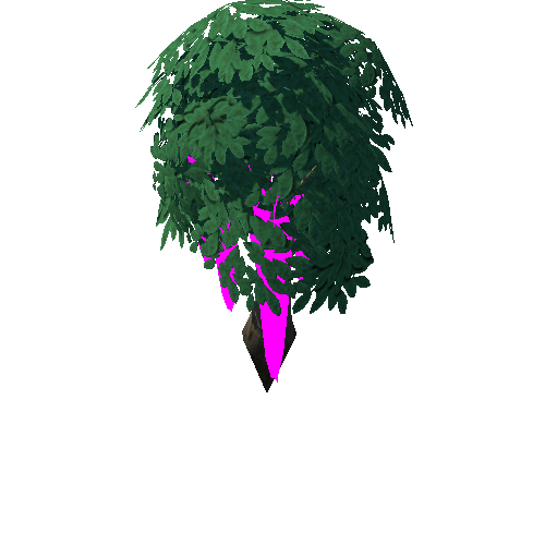 Tree_4d_Separated_5_1_2
