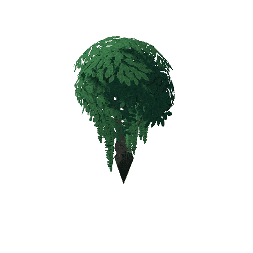 Tree_4d_Separated_6