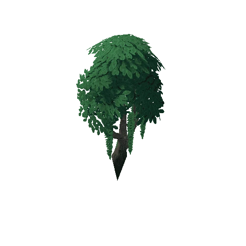 Tree_4d_Separated_7