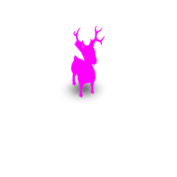 Deer02