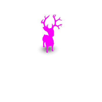 Deer03