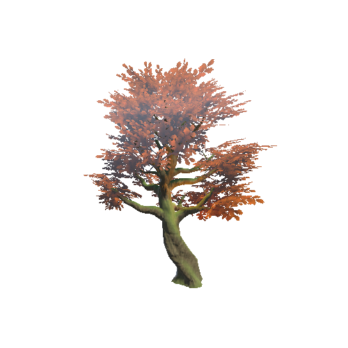 Oak_Tree_lod0