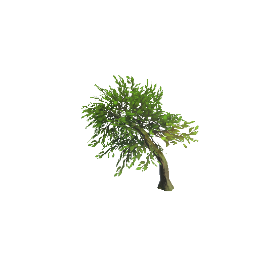 Tree_Bent_lod0