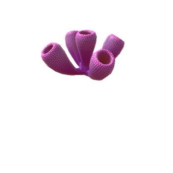 Tube_Coral_Purple_Open_Close_Animation