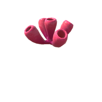 Tube_Coral_Red_Open_Close_Animation