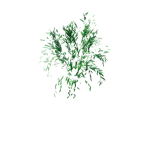 Tree_01_Leaves_L_01