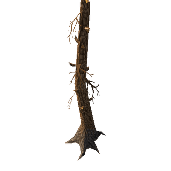 Stump_4_1