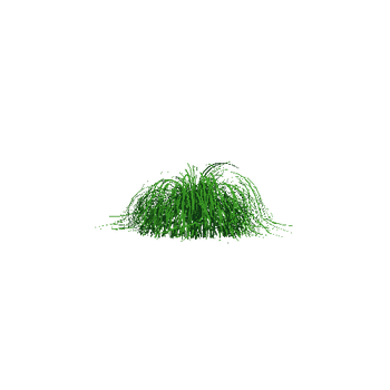 Grass_A_snaps003