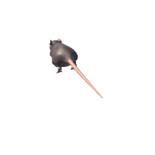 Fat_Rat_Skin_3_grey