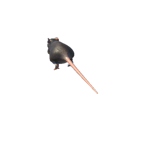Fat_Rat_Skin_4_spotted