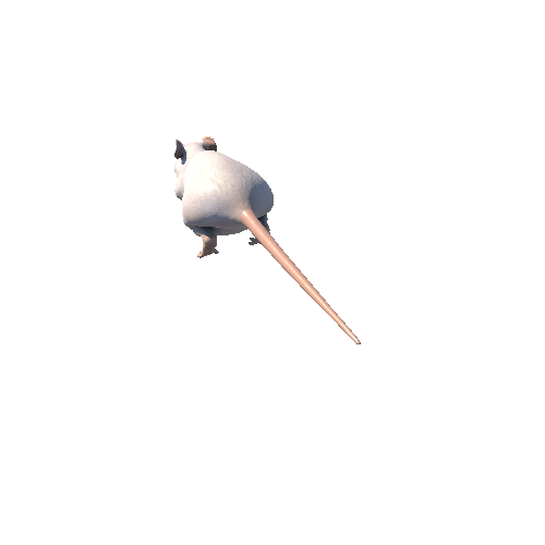 Fat_Rat_Skin_5_white