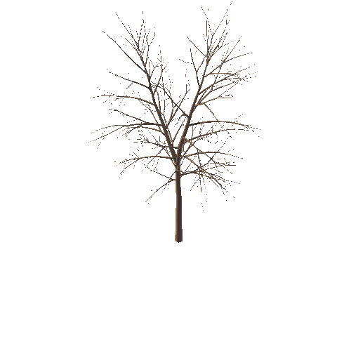 Tree_02_L_01