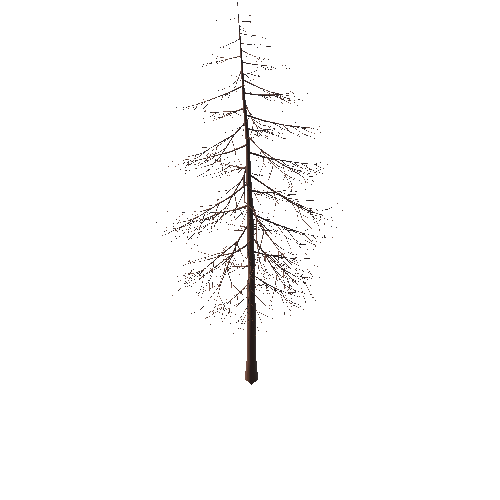 Tree_03_L_02