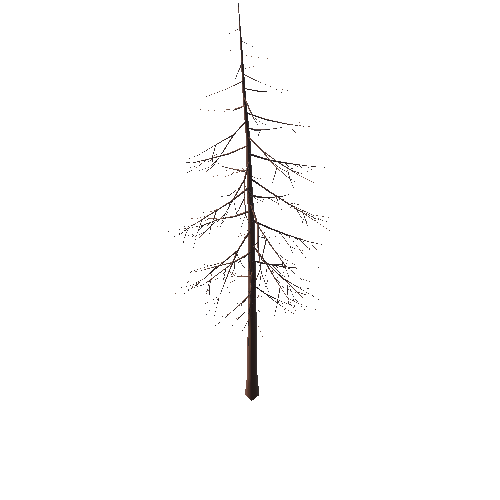 Tree_03_L_01