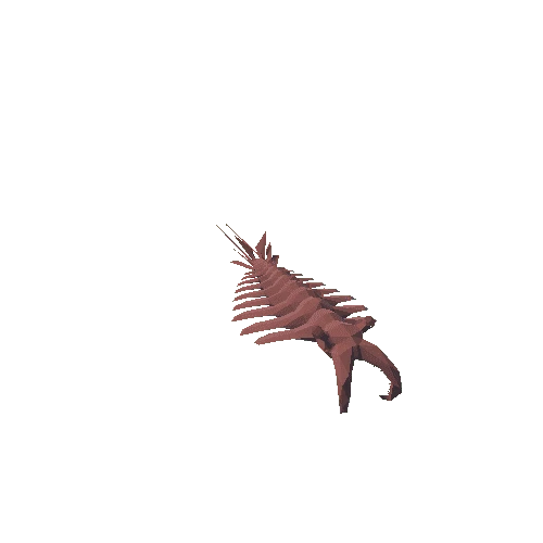 Anomalocaris(LP)