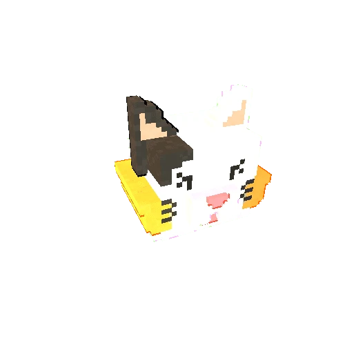 Voxel_CatB