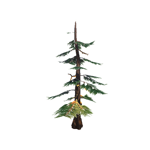 Tree_Pine1