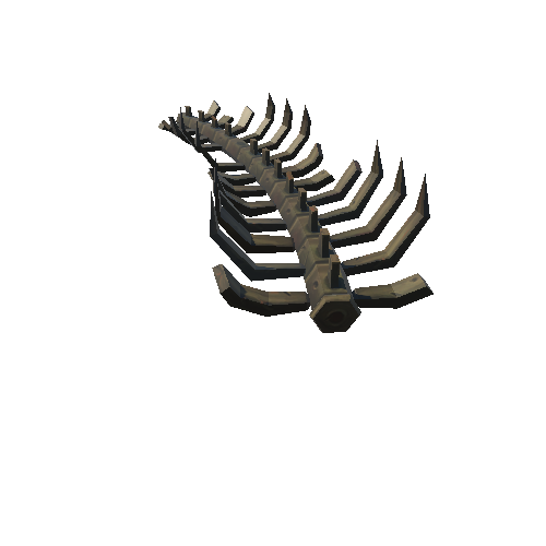 Bone_10