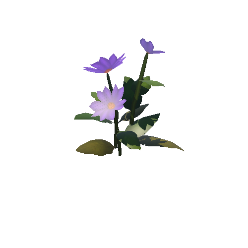 Flower_Purple_C