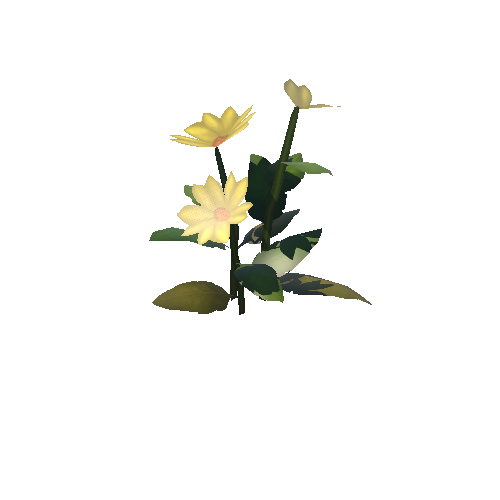 Flower_Yellow_C_1