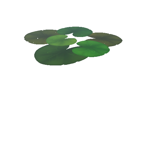 Lily_Pad_Leaf_B