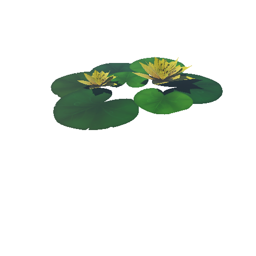 Lily_Pad_Yellow_A