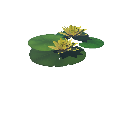 Lily_Pad_Yellow_C