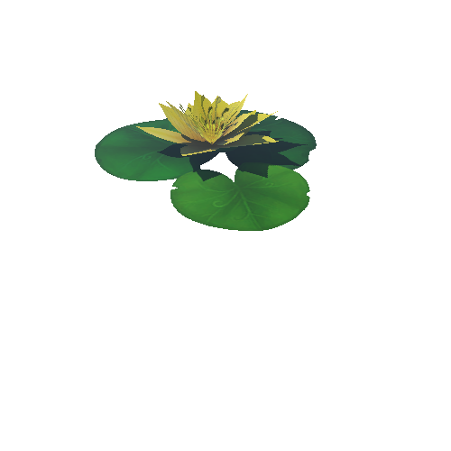 Lily_Pad_Yellow_D