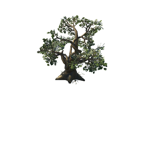 Tree01_A