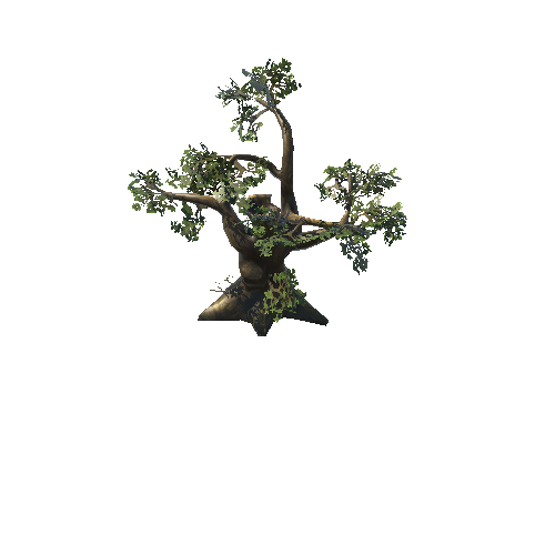 Tree01_C