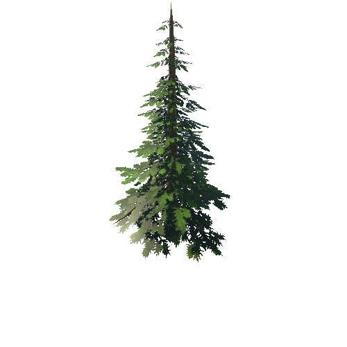 Tree03_03A