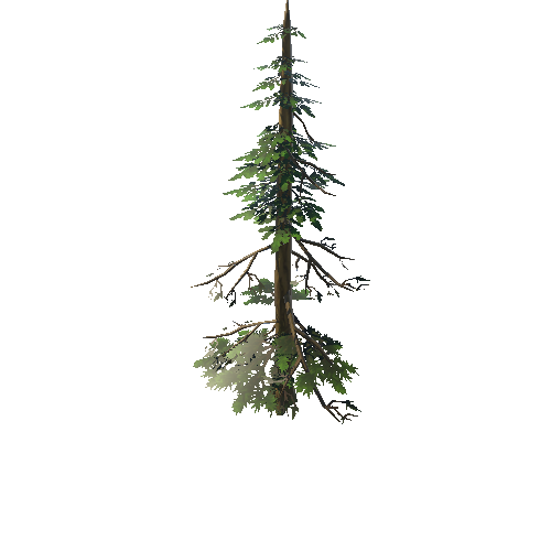 Tree03_04A