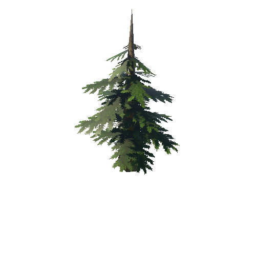 Tree03_07A