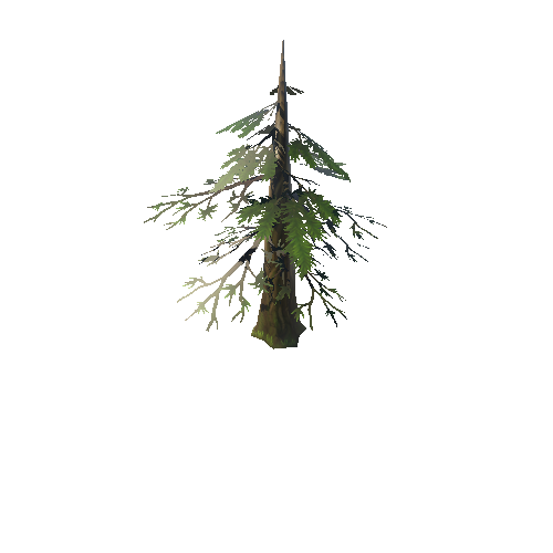 Tree03_08A