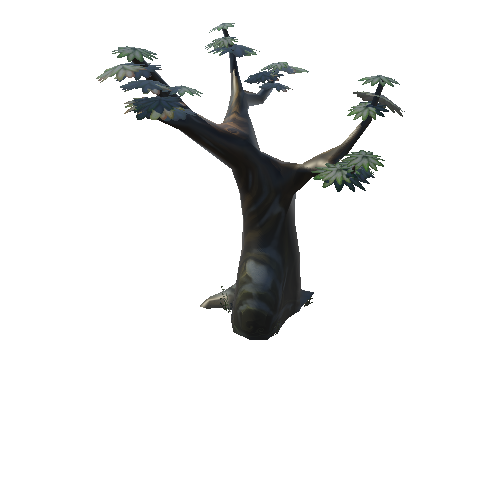 Tree_rock_02_1_2