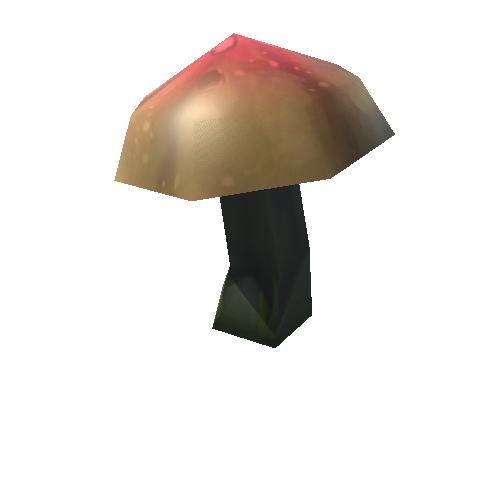 mushroom_04a