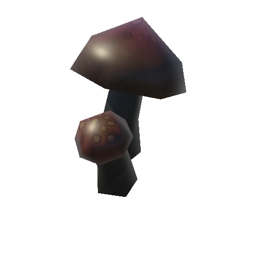 mushroom_08