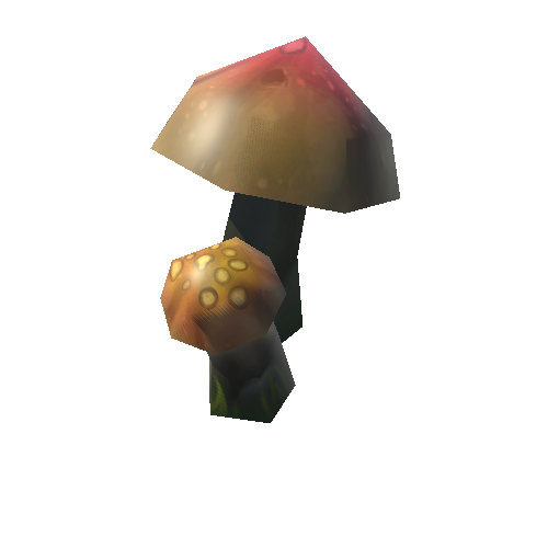 mushroom_08a