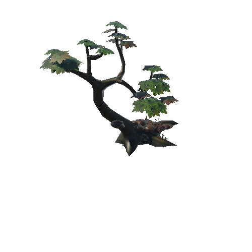 tree_03_1